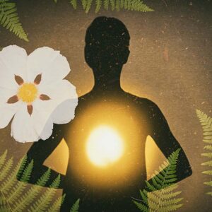 Reiki Ausbildung