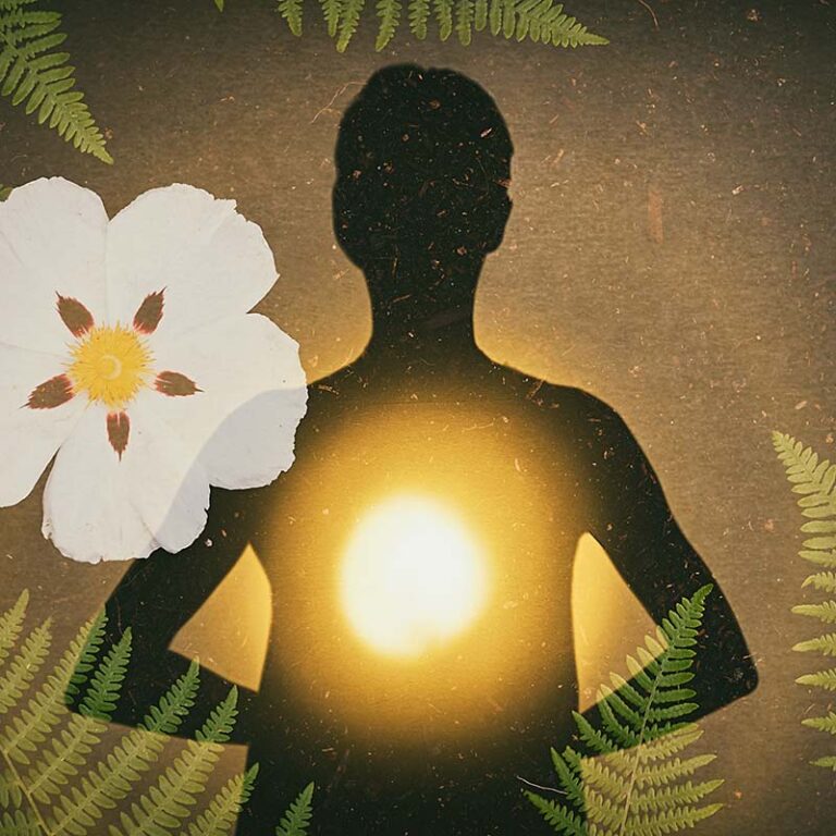 Reiki Ausbildung